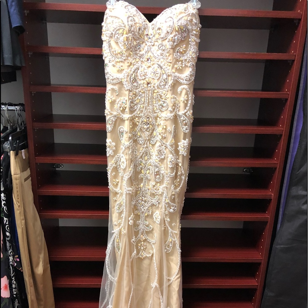 Terani sequin and beaded nude strapless gown